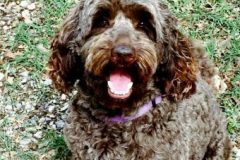 delite-e1633033667578