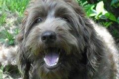 Tegan Park Scottish Charm“The World’s Best”